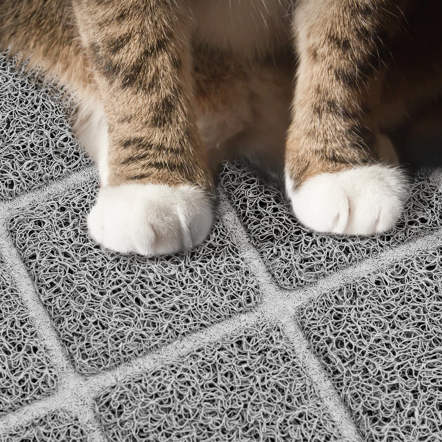 Premium Cat Litter Mat, Extra Large Size, Waterproof and Non-Slip Design