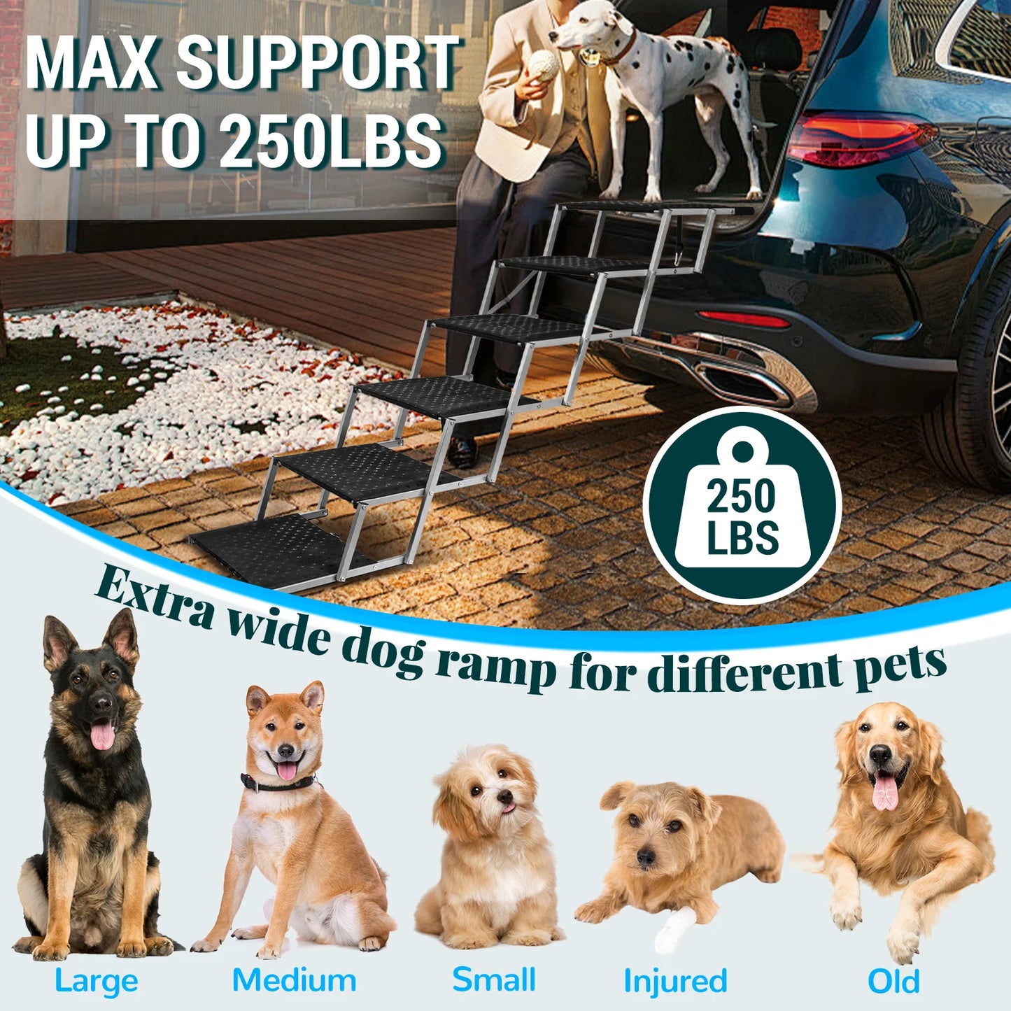 Adjustable Foldable Dog Stairs Set - Stainless Steel Pet Steps for Cars